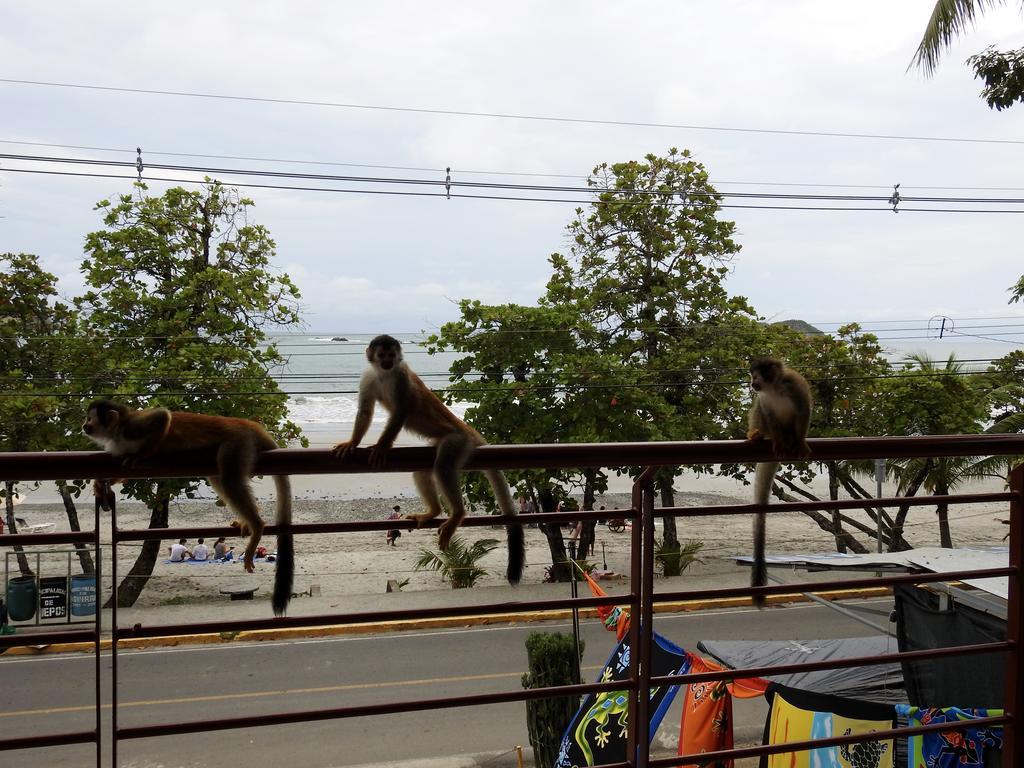 The Elephant Castle Beach Front Penthouse Manuel Antonio Exteriör bild
