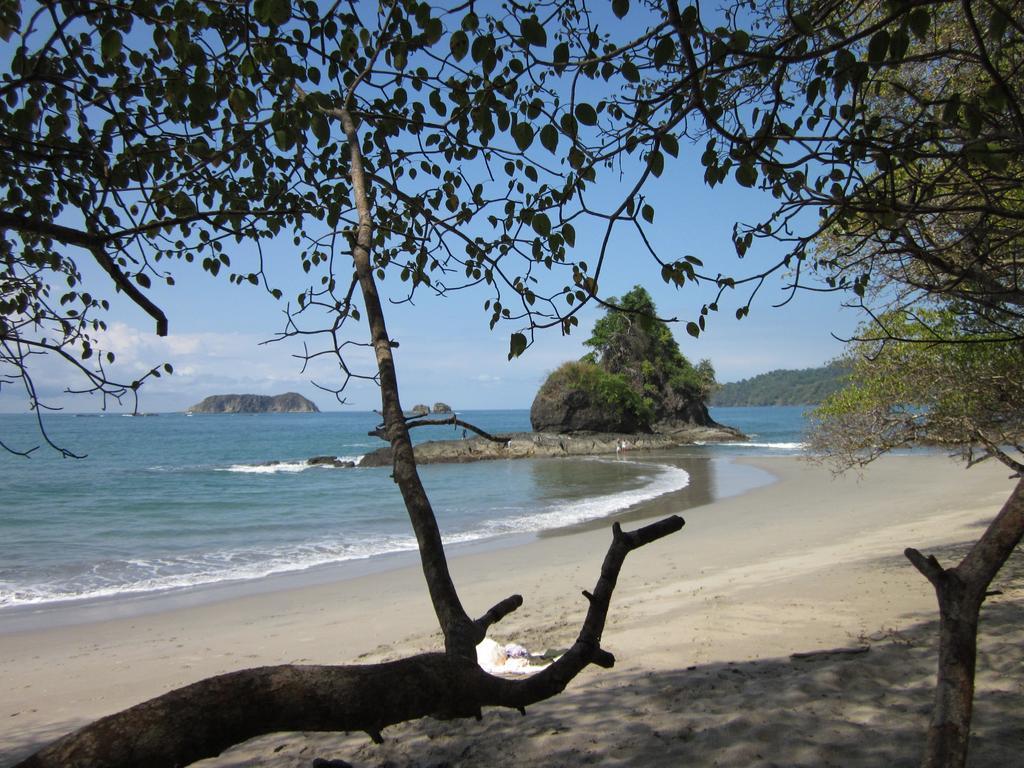 The Elephant Castle Beach Front Penthouse Manuel Antonio Exteriör bild